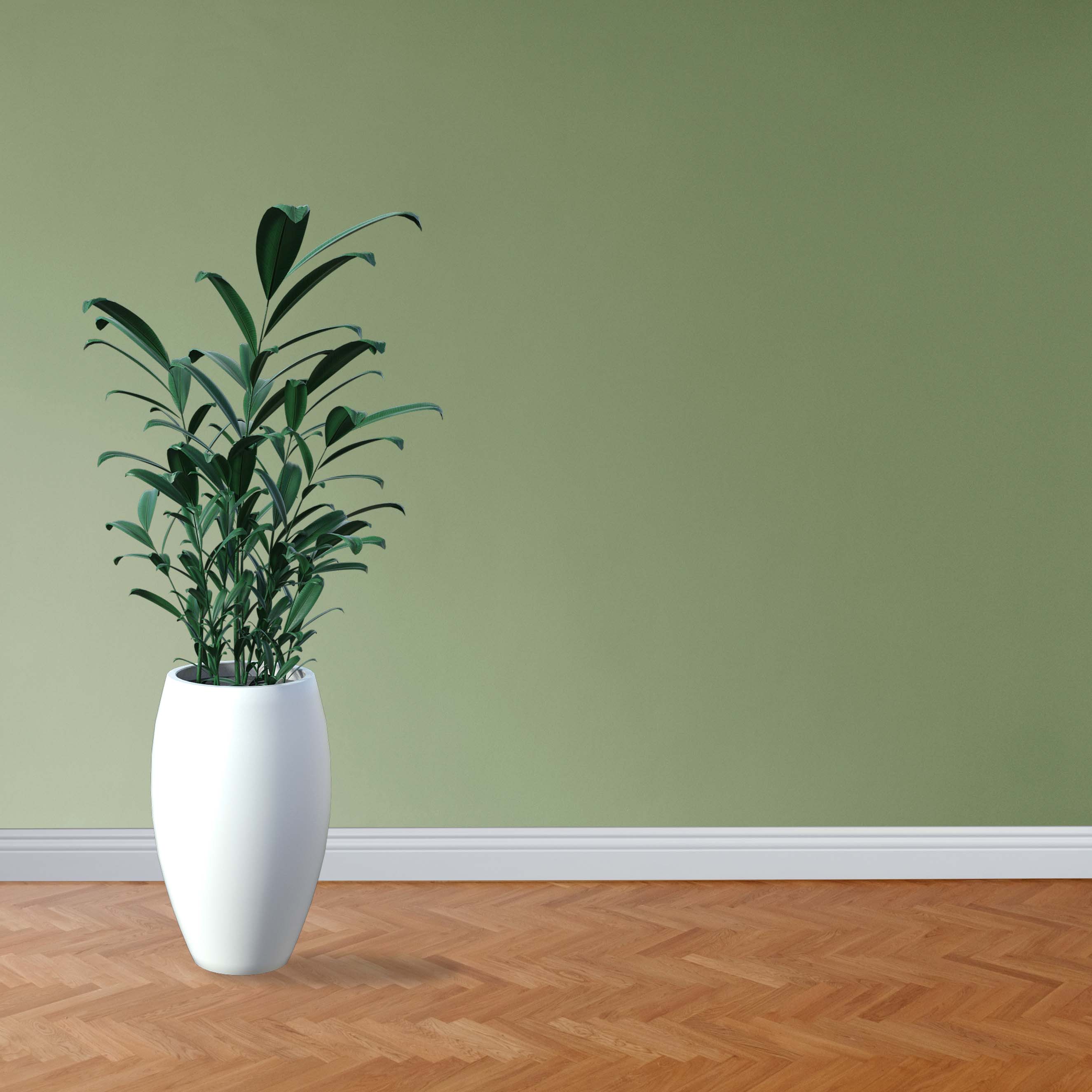 FU73L_6eOmWHHW9q6z4b